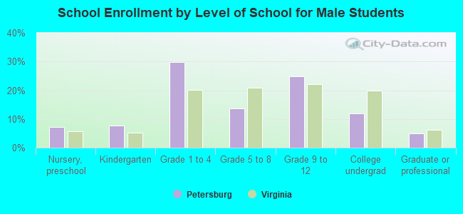 School Enrollment by Level of School for Male Students