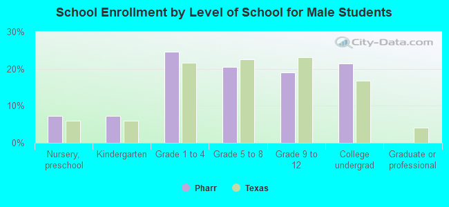 School Enrollment by Level of School for Male Students