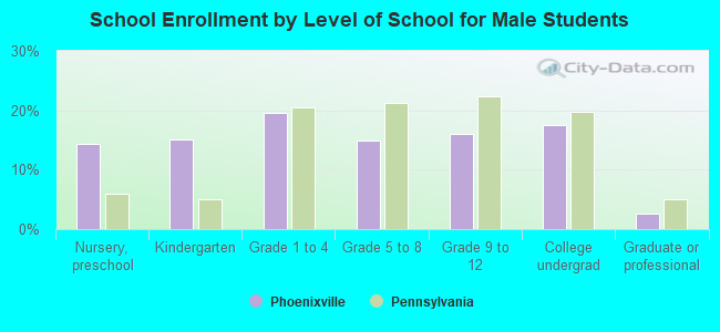 School Enrollment by Level of School for Male Students