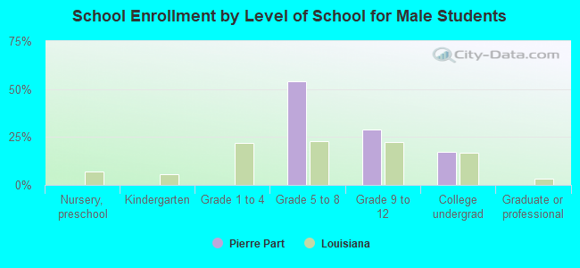 School Enrollment by Level of School for Male Students