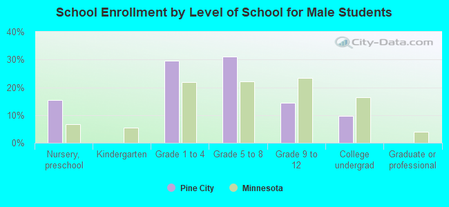 School Enrollment by Level of School for Male Students