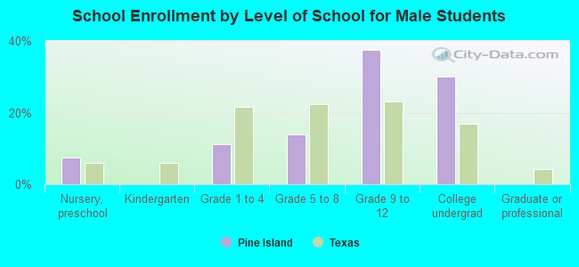 School Enrollment by Level of School for Male Students