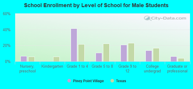 School Enrollment by Level of School for Male Students