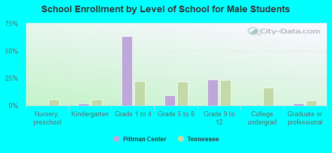 School Enrollment by Level of School for Male Students