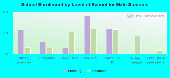 School Enrollment by Level of School for Male Students