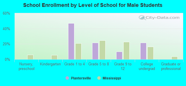 School Enrollment by Level of School for Male Students