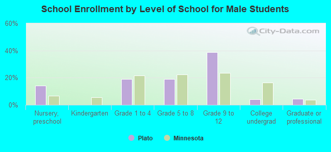 School Enrollment by Level of School for Male Students