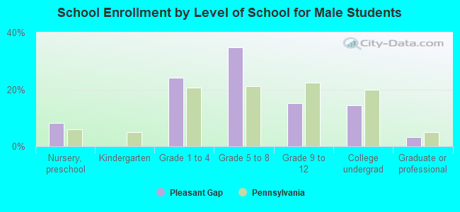 School Enrollment by Level of School for Male Students