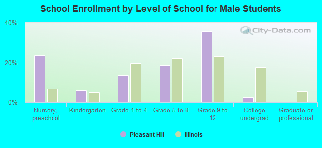 School Enrollment by Level of School for Male Students