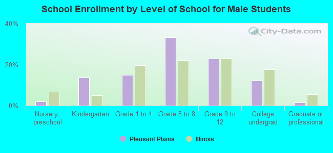 School Enrollment by Level of School for Male Students