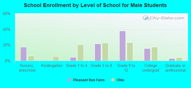 School Enrollment by Level of School for Male Students