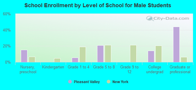 School Enrollment by Level of School for Male Students