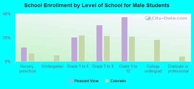 School Enrollment by Level of School for Male Students