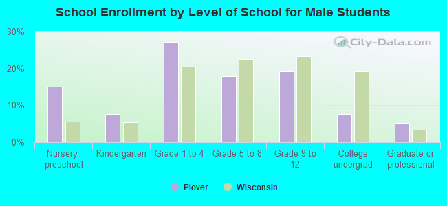 School Enrollment by Level of School for Male Students