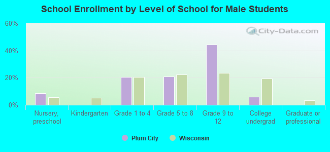 School Enrollment by Level of School for Male Students