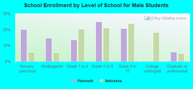 School Enrollment by Level of School for Male Students