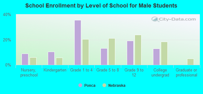 School Enrollment by Level of School for Male Students