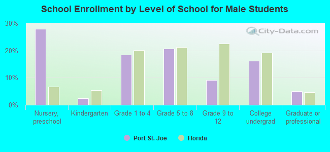 School Enrollment by Level of School for Male Students