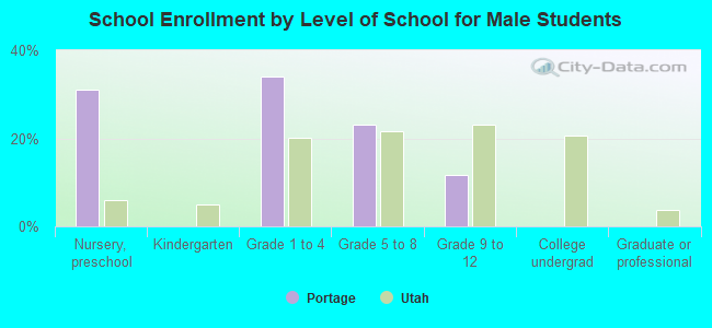 School Enrollment by Level of School for Male Students