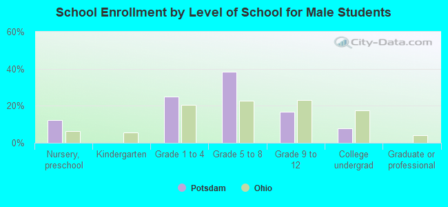 School Enrollment by Level of School for Male Students