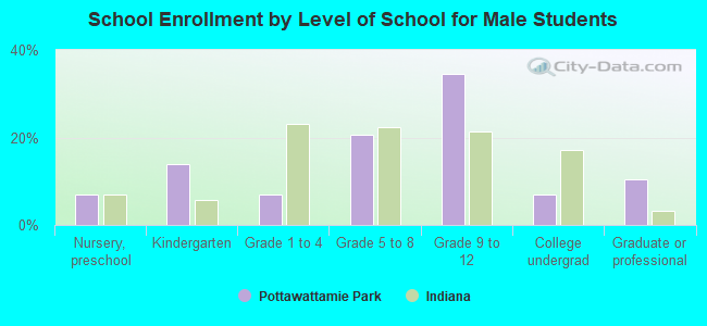 School Enrollment by Level of School for Male Students