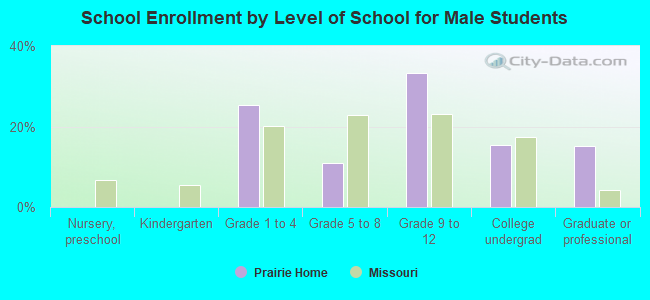 School Enrollment by Level of School for Male Students