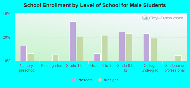 School Enrollment by Level of School for Male Students