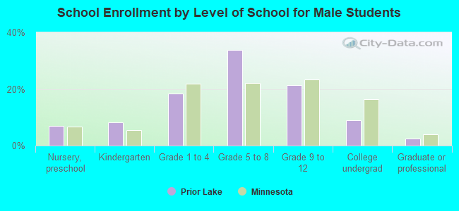 School Enrollment by Level of School for Male Students