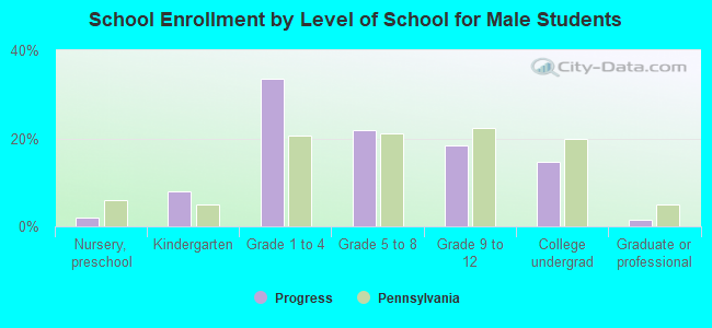 School Enrollment by Level of School for Male Students