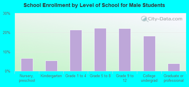 School Enrollment by Level of School for Male Students