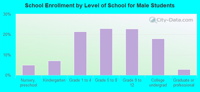 School Enrollment by Level of School for Male Students