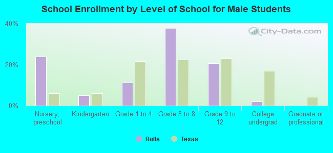 School Enrollment by Level of School for Male Students