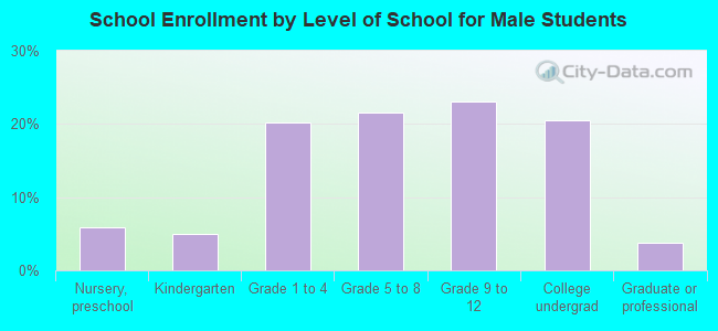 School Enrollment by Level of School for Male Students