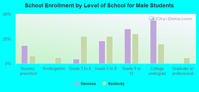 School Enrollment by Level of School for Male Students