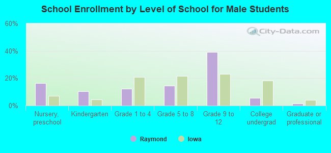 School Enrollment by Level of School for Male Students