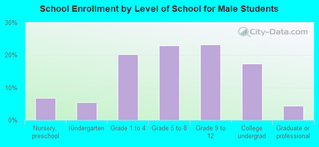 School Enrollment by Level of School for Male Students