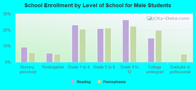 School Enrollment by Level of School for Male Students