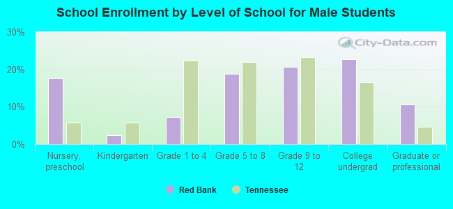 School Enrollment by Level of School for Male Students