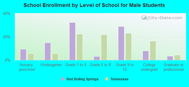 School Enrollment by Level of School for Male Students