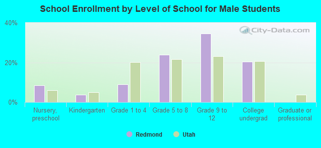 School Enrollment by Level of School for Male Students