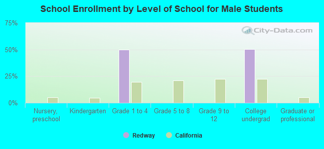 School Enrollment by Level of School for Male Students