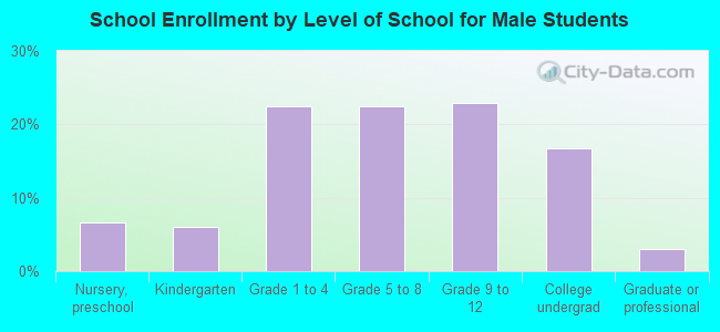 School Enrollment by Level of School for Male Students