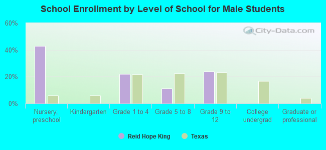 School Enrollment by Level of School for Male Students