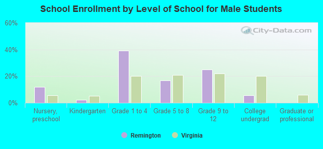 School Enrollment by Level of School for Male Students