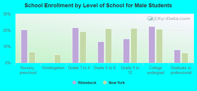 School Enrollment by Level of School for Male Students