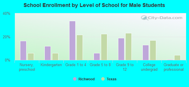 School Enrollment by Level of School for Male Students