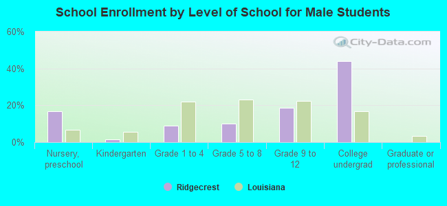 School Enrollment by Level of School for Male Students