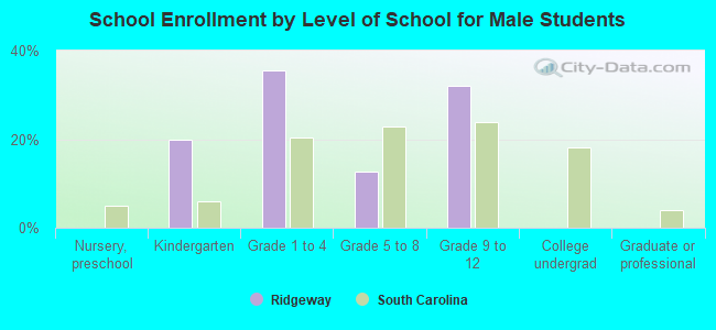 School Enrollment by Level of School for Male Students