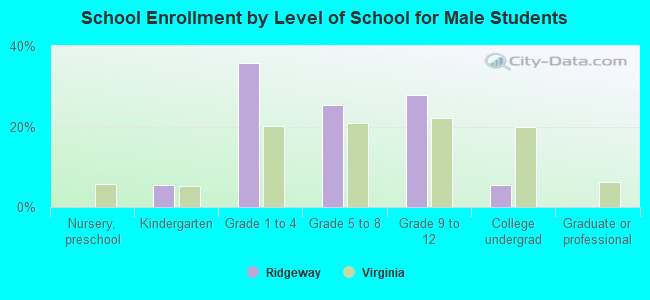 School Enrollment by Level of School for Male Students