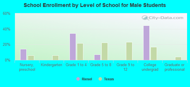 School Enrollment by Level of School for Male Students